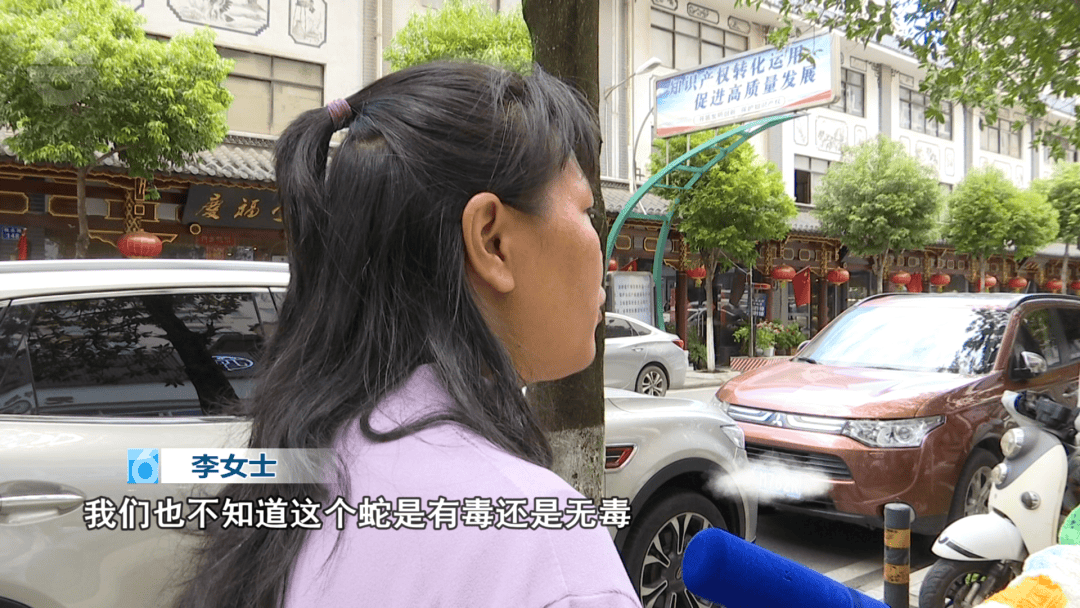 太嚇人！云南女子網購塑料凳，拆開竟發現一條蛇被膠帶粘在椅子上！還在動:商貿