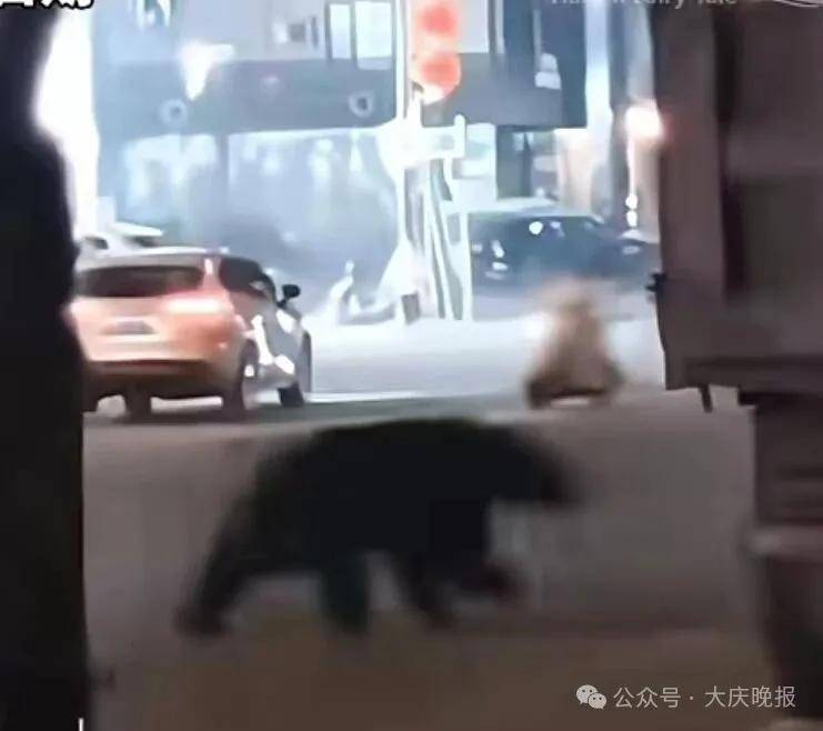 當場擊斃！東北此地突發:商貿