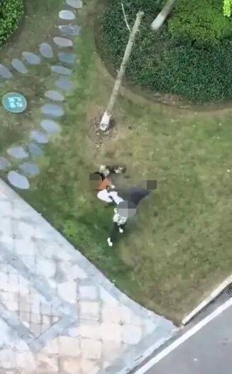 唐某（男，36歲）毆打小區遛狗女子，已立案！:商貿