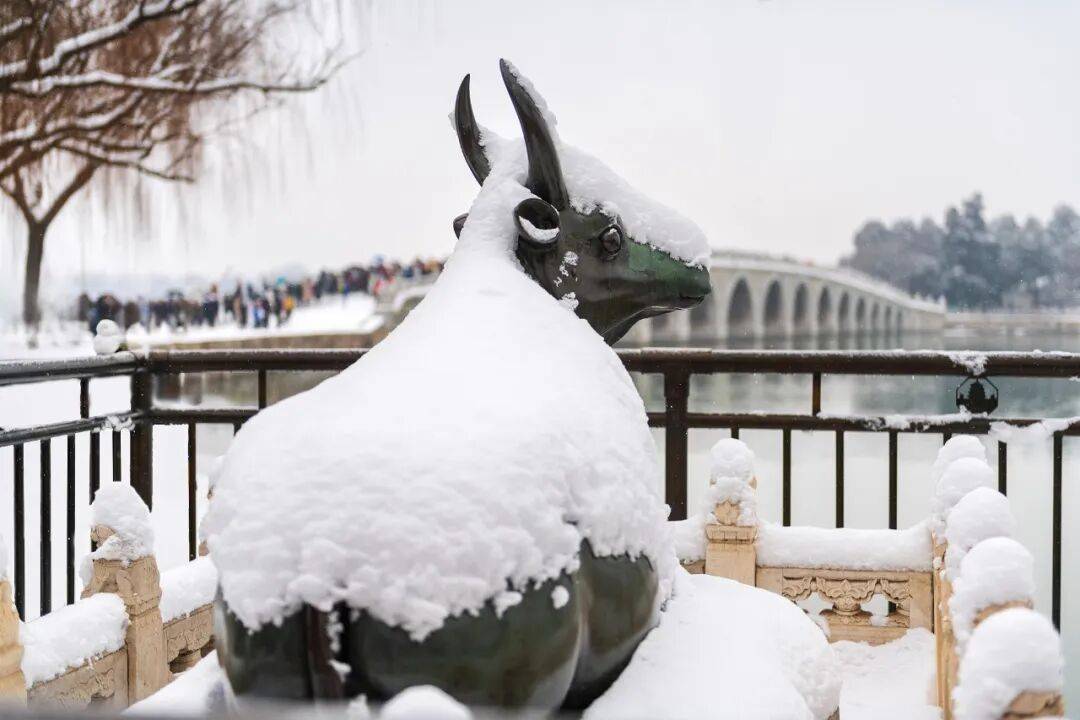 國家氣候中心首席預報員：預計今冬偏暖，但冷暖起伏大:商貿