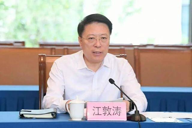 周六打虎！重慶市副市長江敦濤，任上被查:商貿