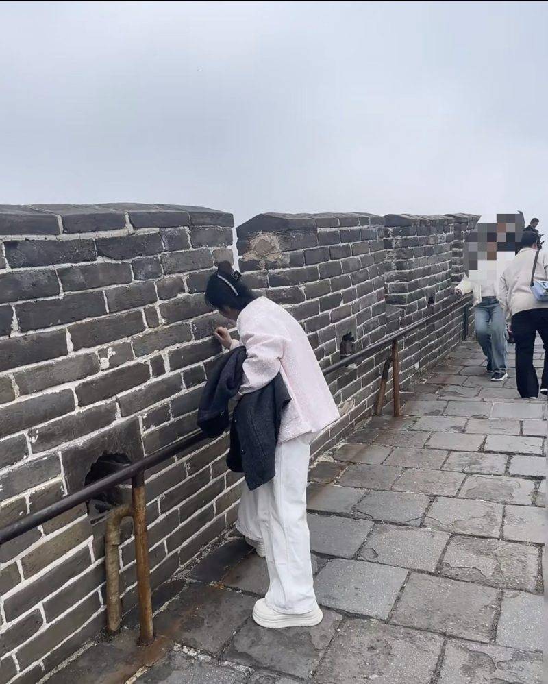 游客八達嶺長城刻字被勸阻仍我行我素，派出所：刻字屬實，已立案調查:商貿