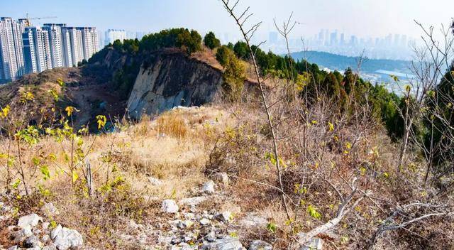 臥牛山楚王夫婦墓被盜細節披露：“摸金校尉”在村里租房3年秘密尋墓:商貿