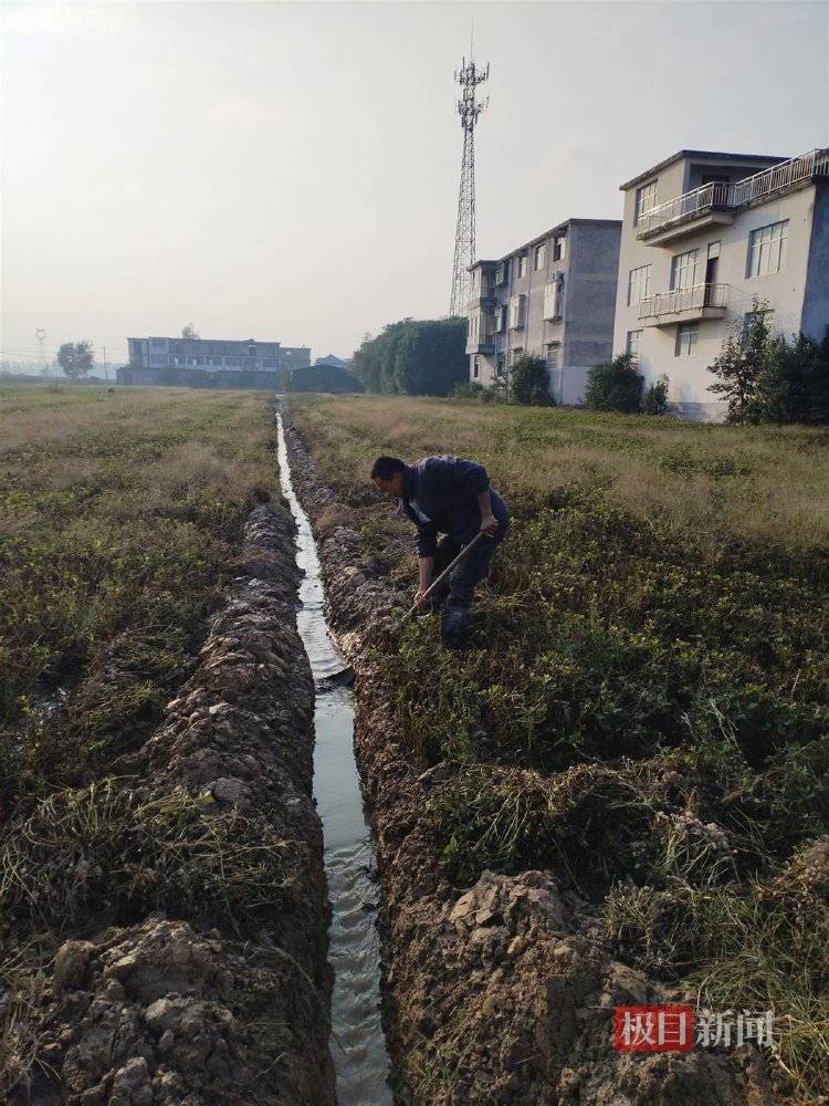 一位河南農民的玉米秋收戰：花3200元自制烘干機<strong></p>
<p>商貿</strong>，還幫農友烘了20萬斤:商貿