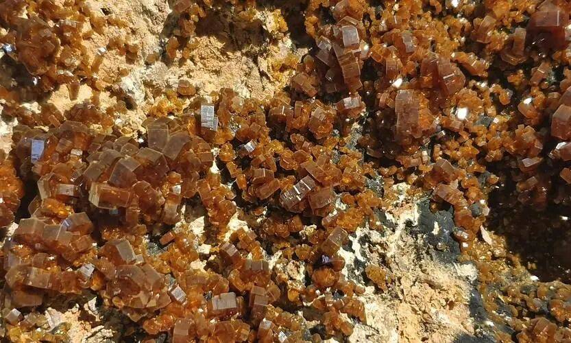 中美決戰時刻，首個刺頭出現了，中方果斷殺雞儆猴，特朗普別高興太早:商貿