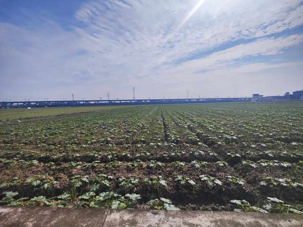 科技賦能，解鎖新時代大國糧倉的“智慧密碼”:商貿